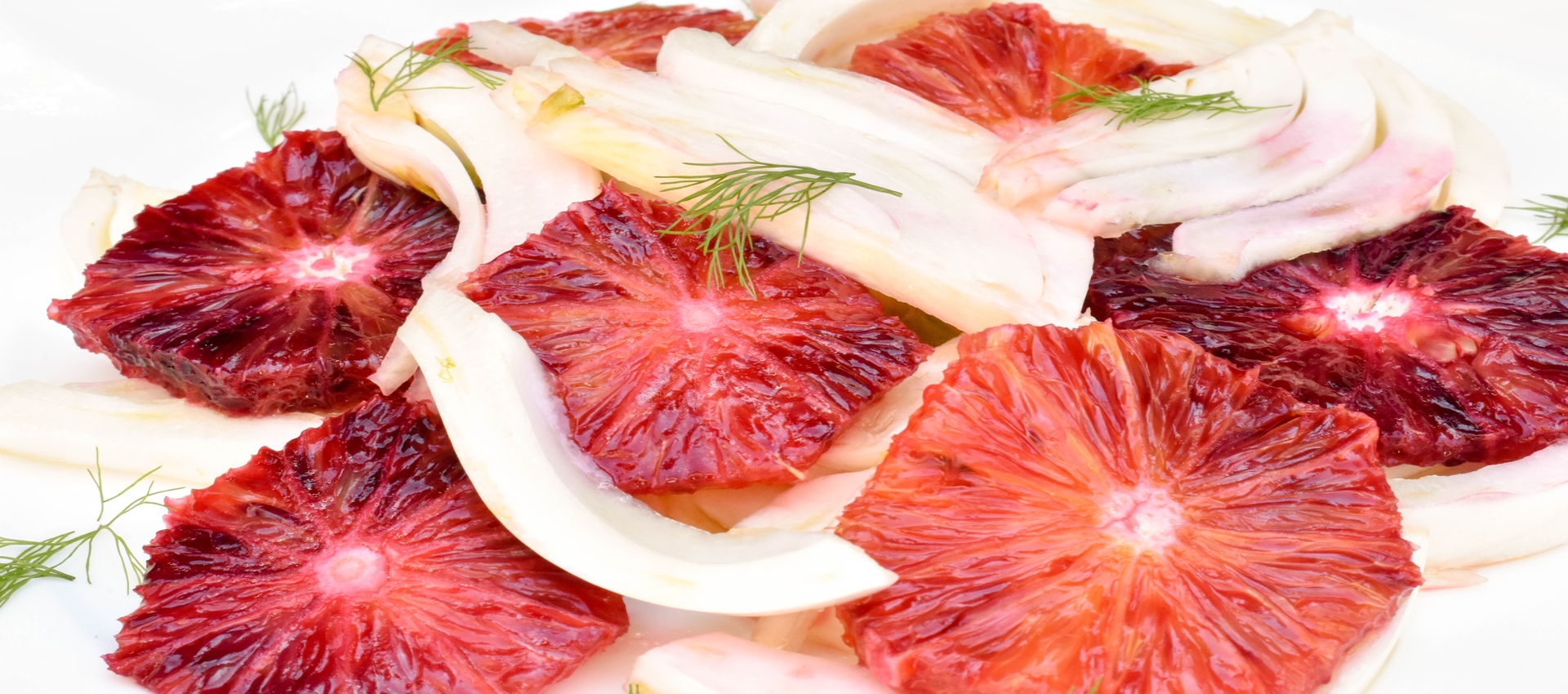 banner2